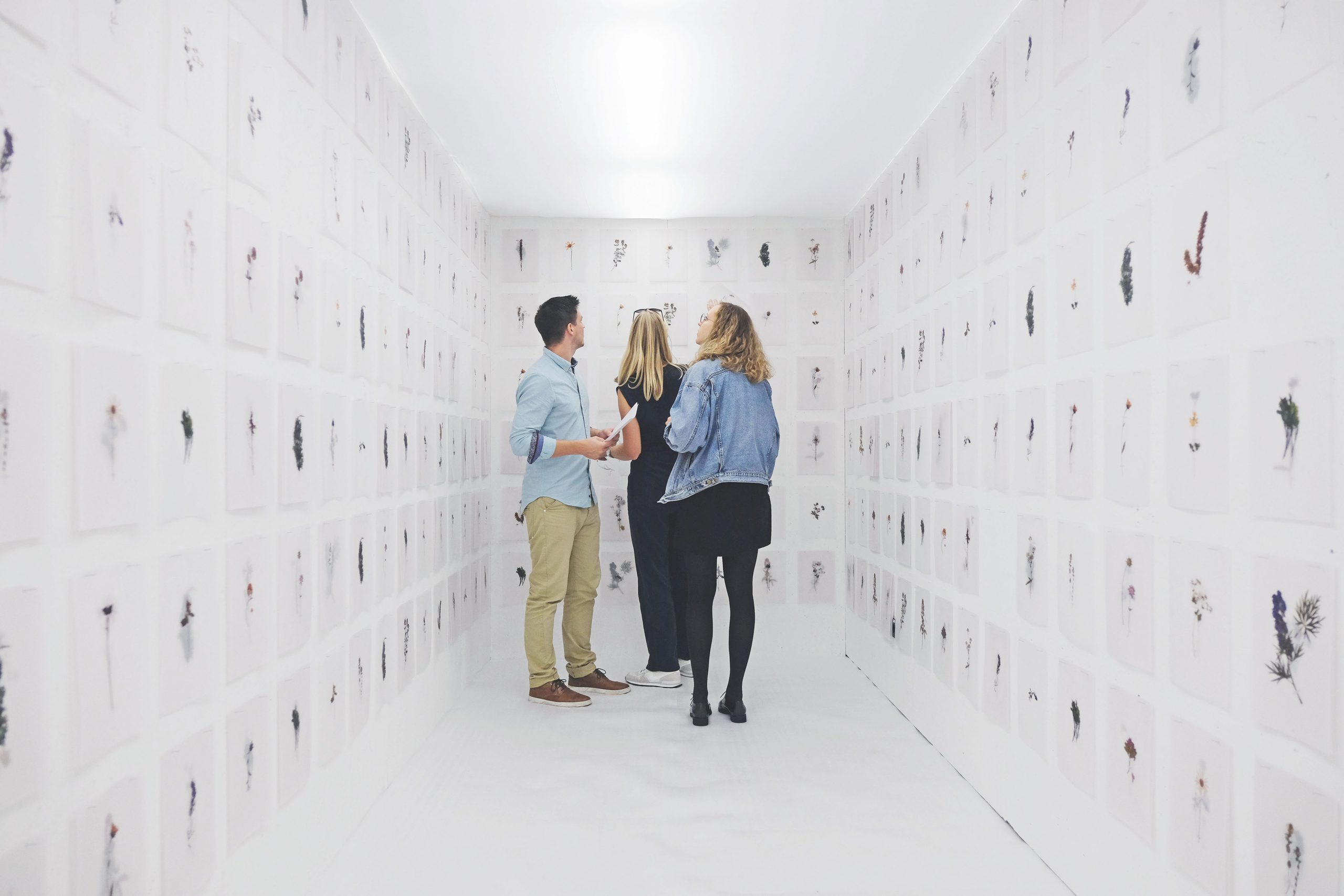 Atlas of Landscapes in a Room