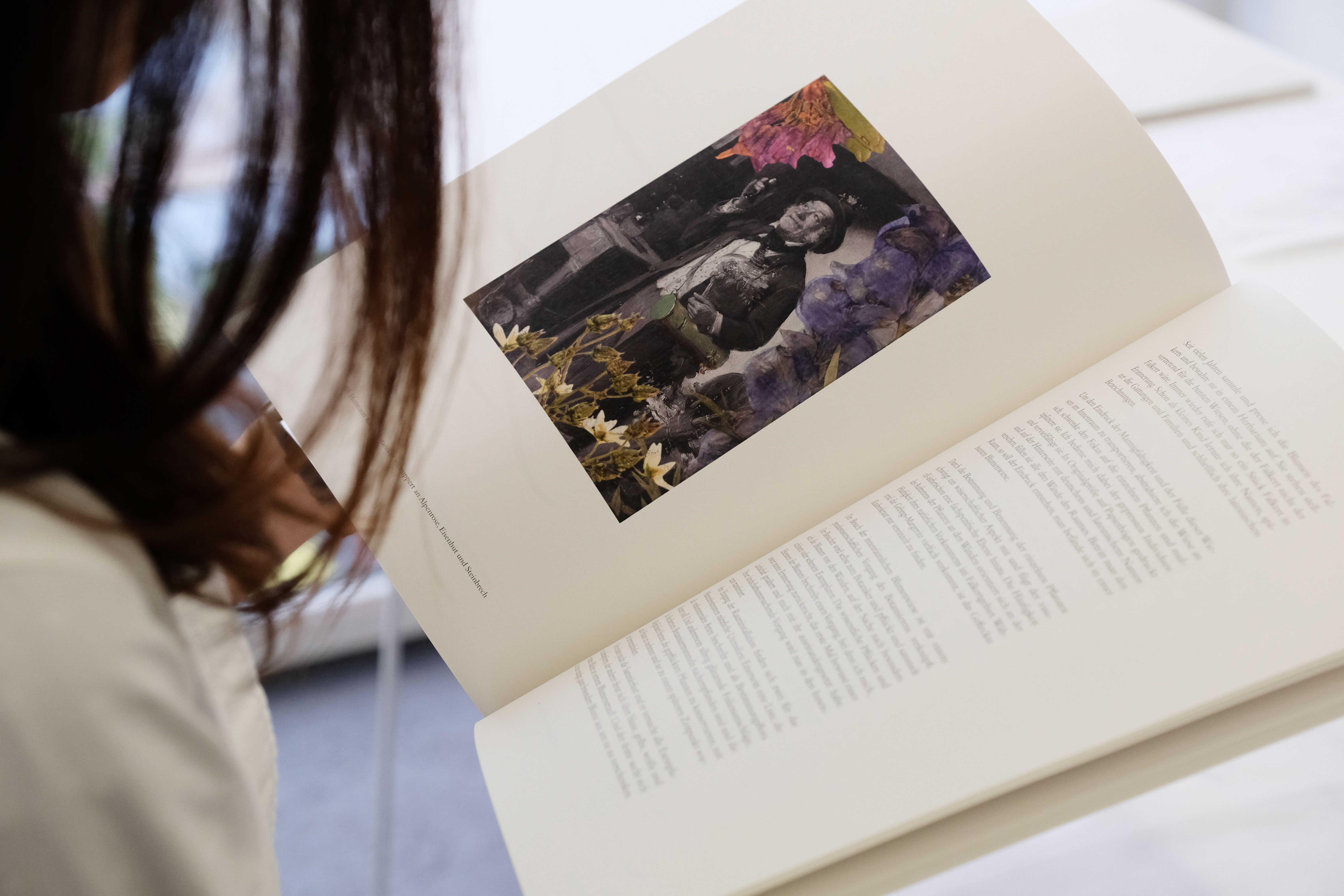 Atlas of Landscapes in a Room