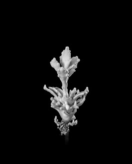 Atlas of Landscapes in a Room