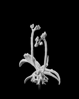 Atlas of Landscapes in a Room