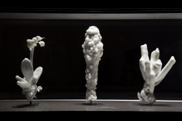 Atlas of Landscapes in a Room