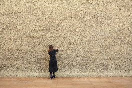 Atlas of Landscapes in a Room