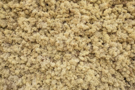 Atlas of Landscapes in a Room