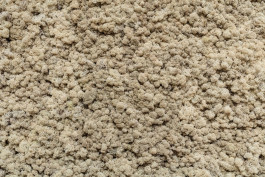 Atlas of Landscapes in a Room