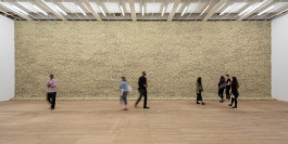 Atlas of Landscapes in a Room