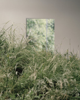 Atlas of Landscapes in a Room