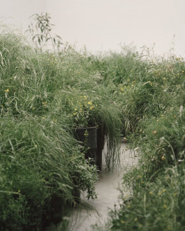 Atlas of Landscapes in a Room