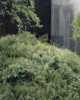 Atlas of Landscapes in a Room