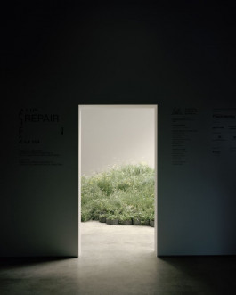 Atlas of Landscapes in a Room