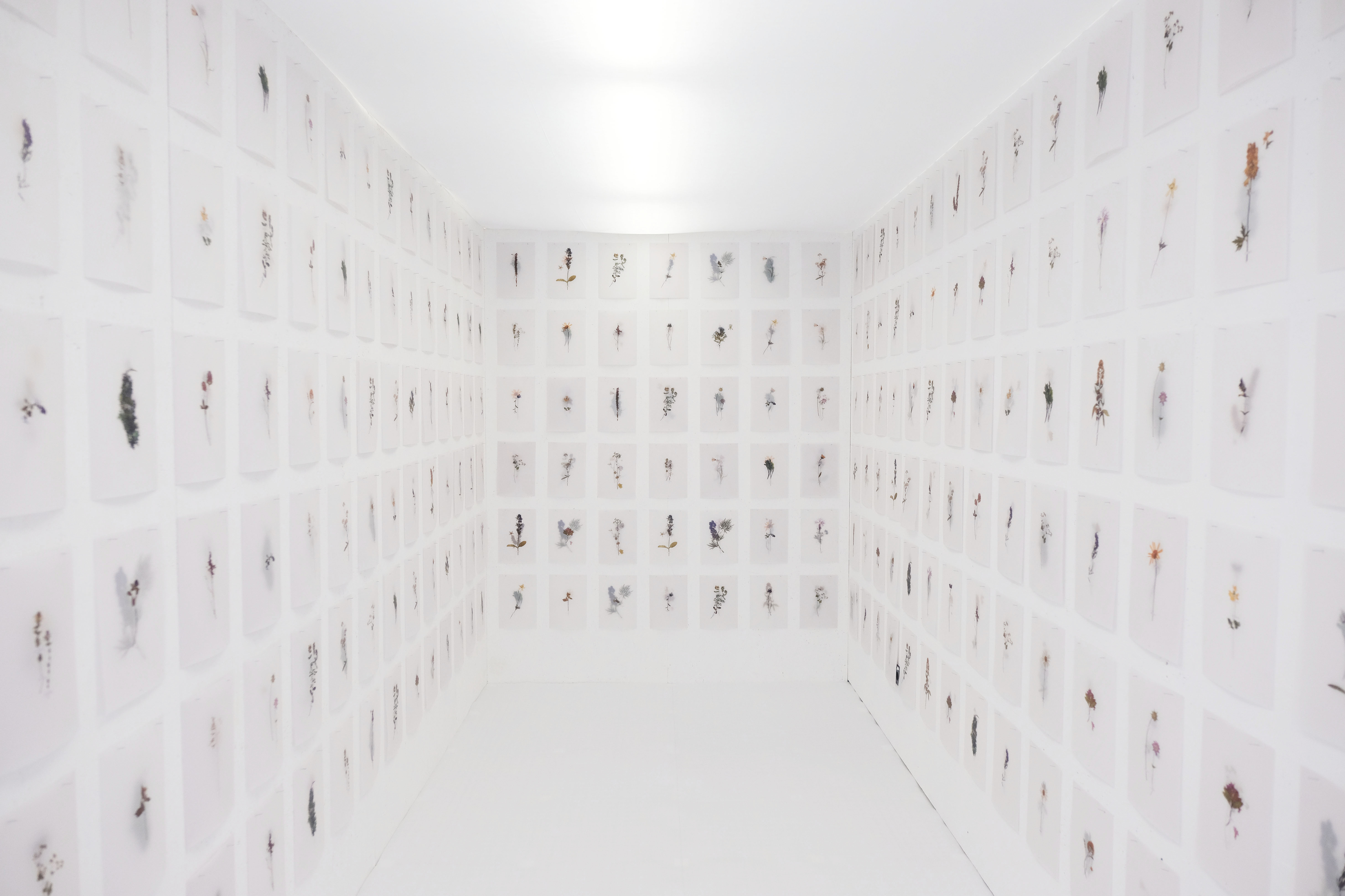 Atlas of Landscapes in a Room