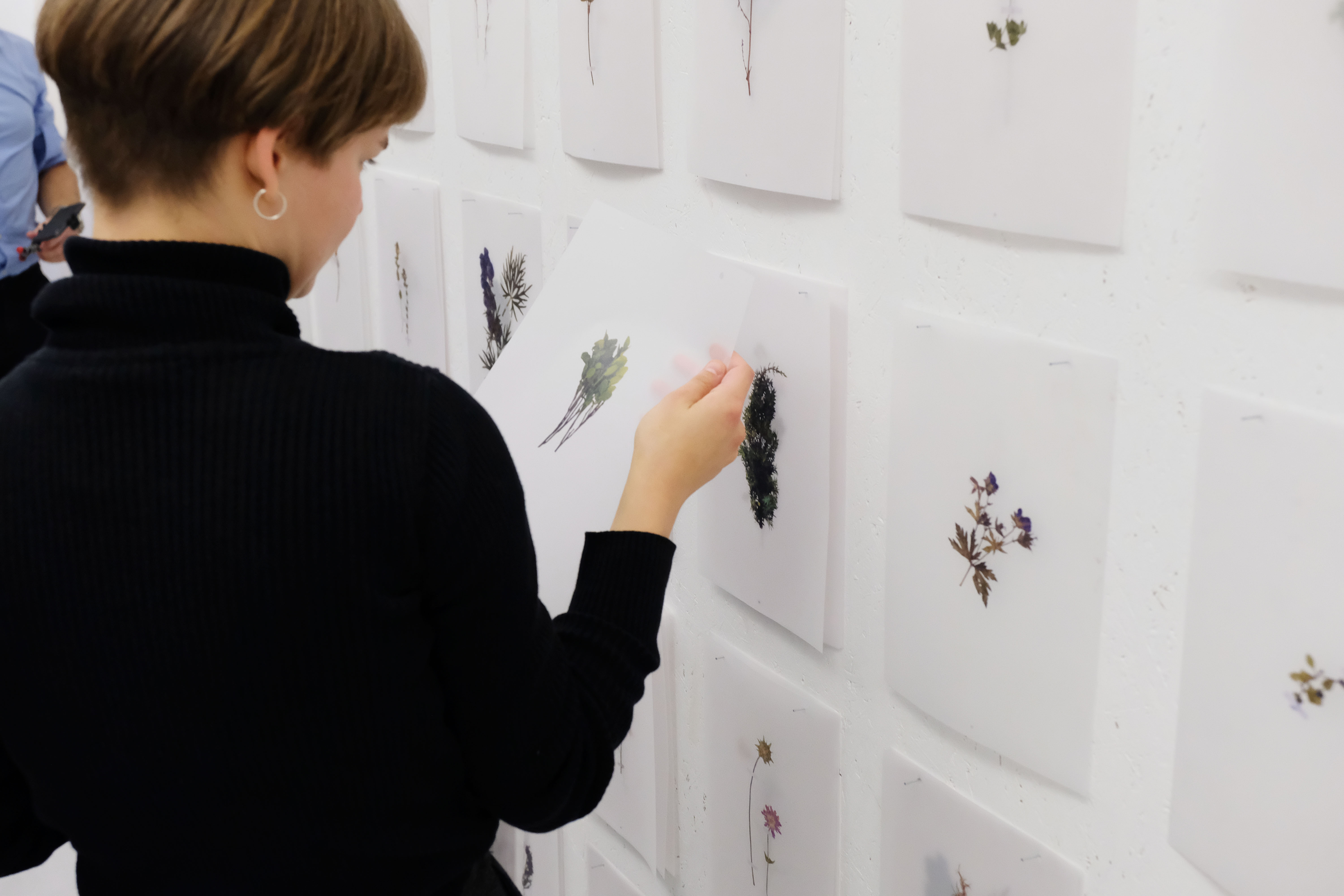 Atlas of Landscapes in a Room