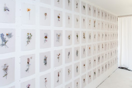 Atlas of Landscapes in a Room