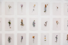 Atlas of Landscapes in a Room