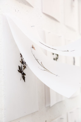 Atlas of Landscapes in a Room