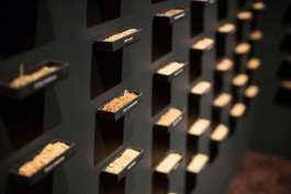 Atlas of Landscapes in a Room