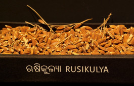 Atlas of Landscapes in a Room