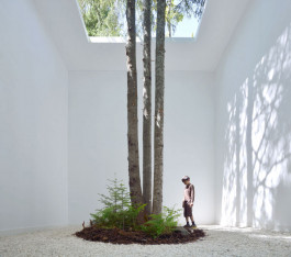 Atlas of Landscapes in a Room