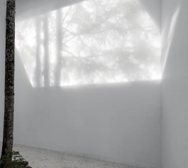 Atlas of Landscapes in a Room