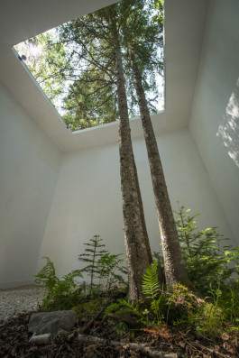 Atlas of Landscapes in a Room