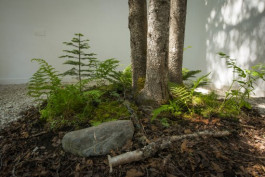 Atlas of Landscapes in a Room