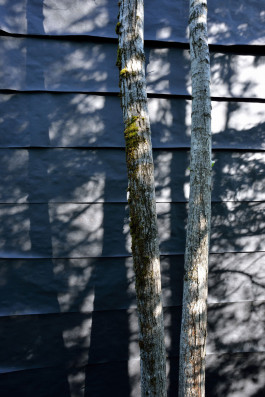 Atlas of Landscapes in a Room