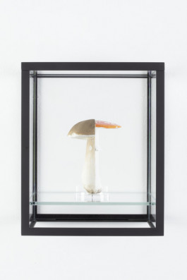 Atlas of Landscapes in a Room