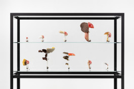 Atlas of Landscapes in a Room