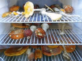 Atlas of Landscapes in a Room