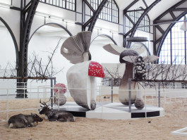 Atlas of Landscapes in a Room