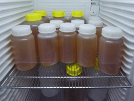 Atlas of Landscapes in a Room