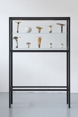 Atlas of Landscapes in a Room