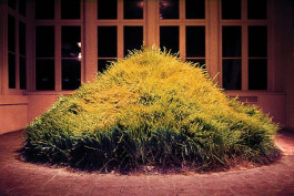 Atlas of Landscapes in a Room