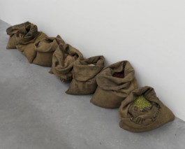 Atlas of Landscapes in a Room