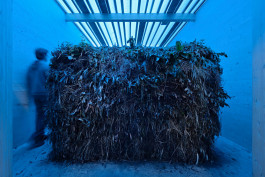 Atlas of Landscapes in a Room