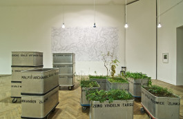 Atlas of Landscapes in a Room