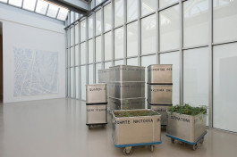 Atlas of Landscapes in a Room