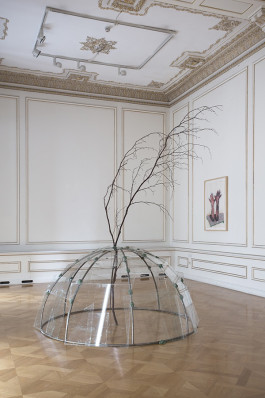 Atlas of Landscapes in a Room