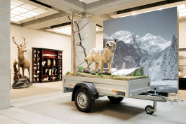 Atlas of Landscapes in a Room