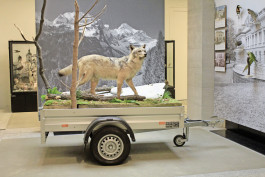 Atlas of Landscapes in a Room