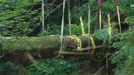 Atlas of Landscapes in a Room