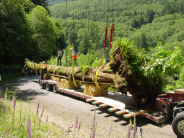 Atlas of Landscapes in a Room