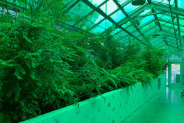 Atlas of Landscapes in a Room