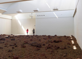 Atlas of Landscapes in a Room