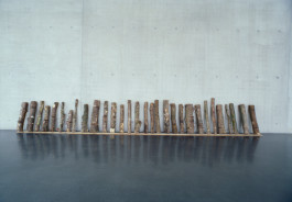 Atlas of Landscapes in a Room