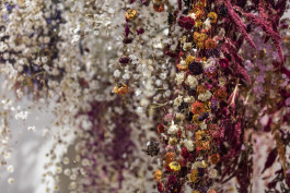 Atlas of Landscapes in a Room