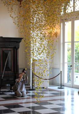 Atlas of Landscapes in a Room