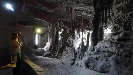 Atlas of Landscapes in a Room