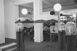 Atlas of Landscapes in a Room