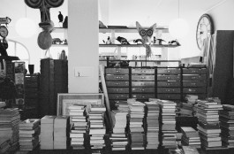 Atlas of Landscapes in a Room