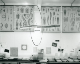 Atlas of Landscapes in a Room